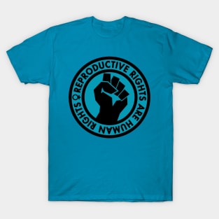 Reproductive Rights are Human Rights (teal) T-Shirt